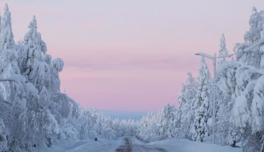 Vi köper din bil online